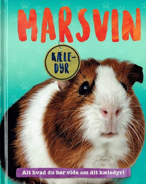 Cover for Pat Jacobs · Kæledyr: Marsvin (Bound Book) [1er édition] (2017)