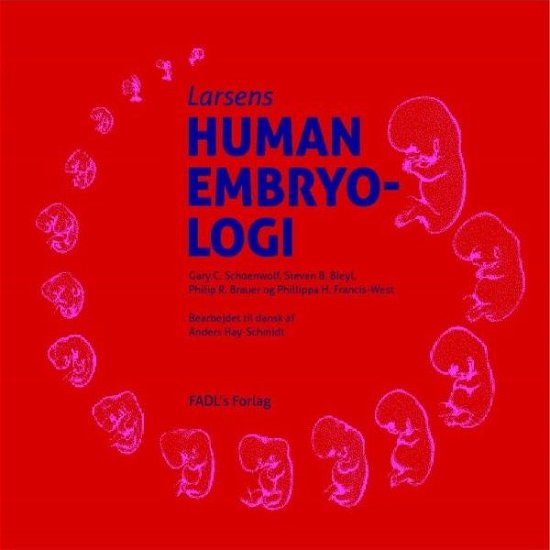 Cover for Gary C. Schoenwolf, Steven B. Bleyl, Philip R. Brauer &amp; Philippa H. Francis-West · Larsens Human embryologi (Bound Book) [1. Painos] [Indbundet] (2012)