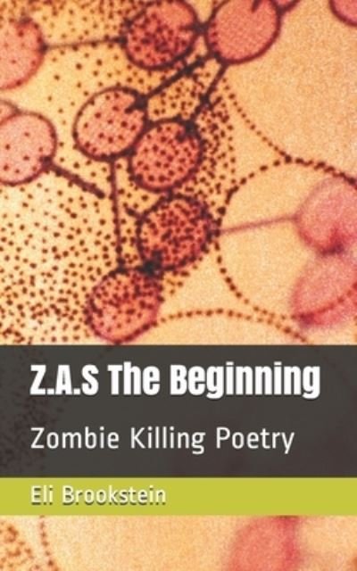 Cover for Eli Brookstein Fhq · Z.A.S The Beginning (Paperback Bog) (2020)