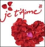 Je T'Aime 2009 - Various Artists - Música - Universal - 0600753157992 - 