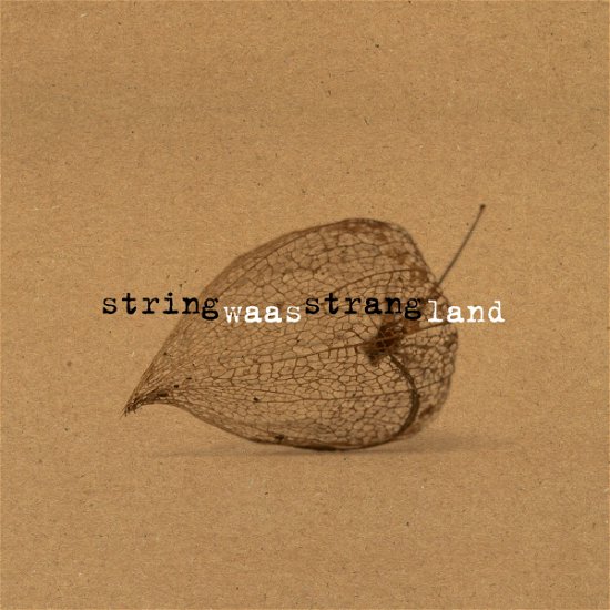 Cover for Stringstrang · Waasland (CD) (2017)