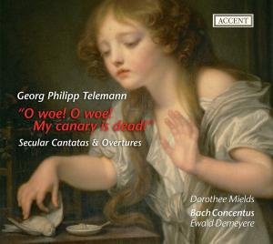 Cover for Telemann / Mields / Bach Concentus / Demeyere · O Woe O Woe My Canary is Dead (CD) (2010)