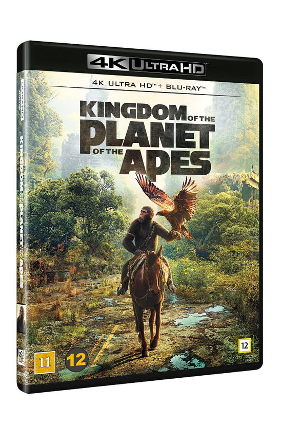 Cover for Planet of the Apes · Kingdom Of The Planet Of The Apes (4K UHD + Blu-ray) (2024)