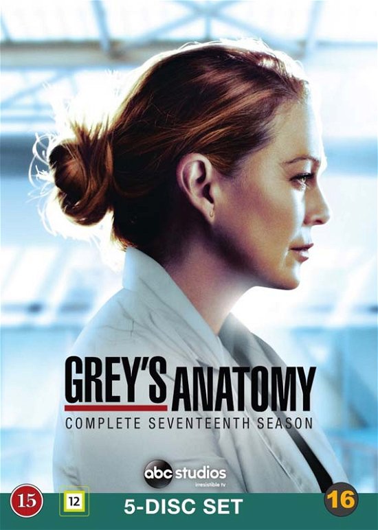 Cover for Grey's Anatomy: Season 17 (2021)-Tv Dvd (DVD) (2021)