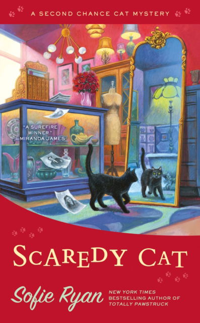 Cover for Sofie Ryan · Scaredy Cat (Paperback Book) (2023)