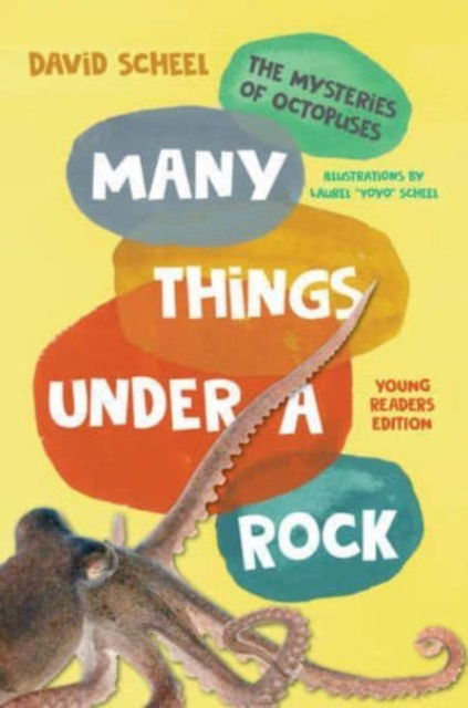Many Things Under a Rock Young Readers Edition - The Mysteries of Octopuses - David Scheel - Books - W W Norton & Co Inc - 9781324019992 - July 2, 2025