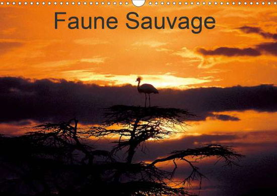 Cover for Leroy · Faune Sauvage (Calendrier mural 2 (Buch)