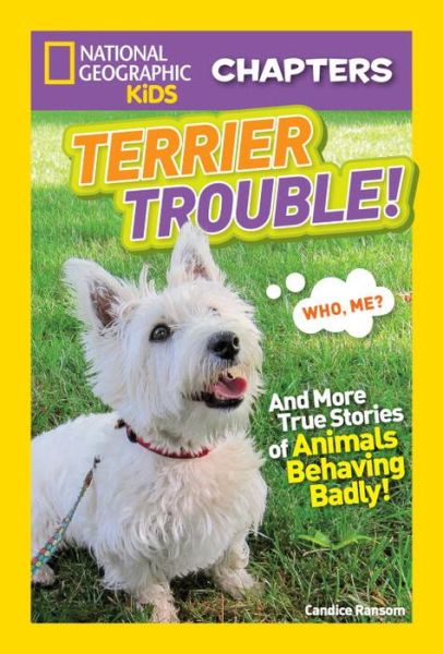 Cover for Candice Ransom · National Geographic Kids Chapters: Terrier Trouble! - National Geographic Kids Chapters (Paperback Book) (2017)