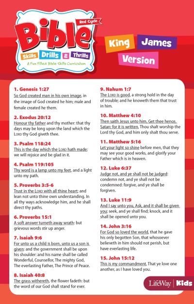 Cover for Lifeway Kids · Bible Skills, Drills, &amp; Thrills: Red Cycle - KJV Verse Cards (Cards) (2014)