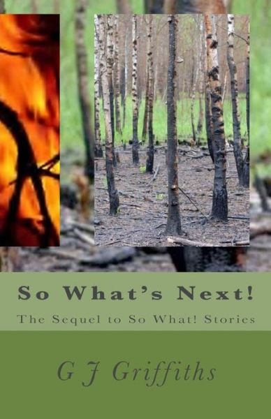 Cover for G J Griffiths · So What's Next!: the Sequel to So What! Stories (Paperback Bog) (2014)