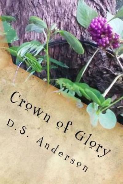Cover for D S Anderson · Crown of Glory (Paperback Bog) (2016)