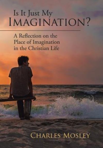 Cover for Charles Mosley · Is It Just My Imagination? (Hardcover Book) (2017)