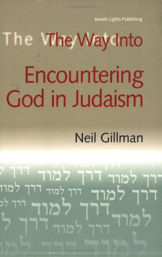 The Way into Encountering God in Judaism - Gillman, Neil (Rabbi Neil Gillman) - Books - Jewish Lights Publishing - 9781580231992 - April 15, 2004