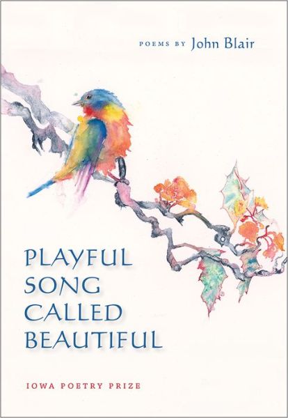 Cover for John Blair · Playful Song Called Beautiful (Paperback Book) (2016)