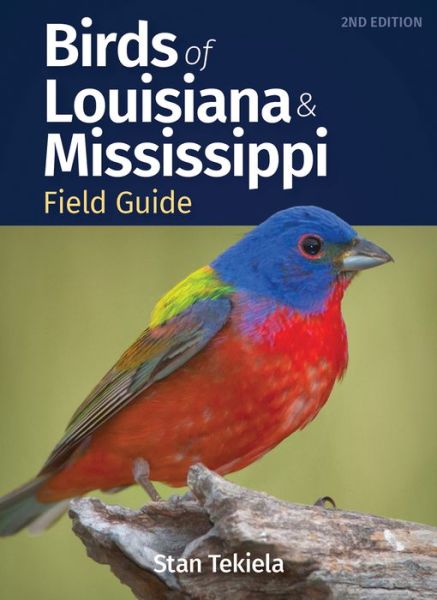 Cover for Stan Tekiela · Birds of Louisiana &amp; Mississippi Field Guide - Bird Identification Guides (Paperback Bog) [2 Revised edition] (2022)