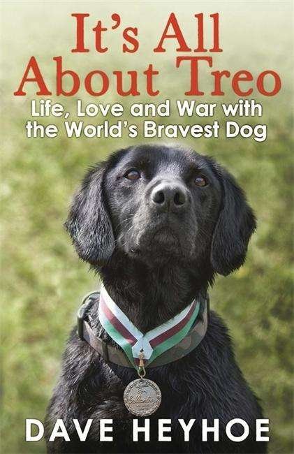 Cover for Damien Lewis · It's All About Treo: Life and War with the World's Bravest Dog (Pocketbok) (2013)