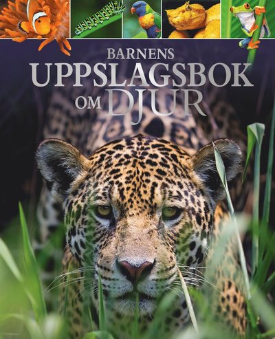 Cover for Meriel Land · Barnens uppslagsbok om djur (Bound Book) (2018)