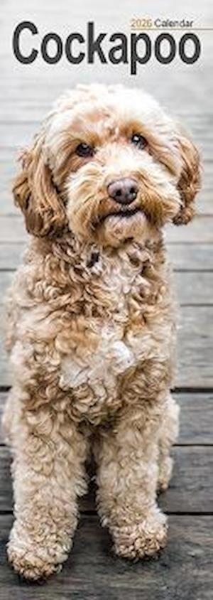 Cover for Cockapoo Slim Calendar 2026  Dog Breed Slimline Calendar - 12 Month (Calendar) (2025)