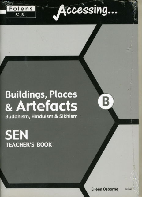 RE (Buildings, Places and Artefacts) - Secondary Accessing S. - Eileen Osborne - Books - Folens Publishers UK - 9781843035992 - 2005