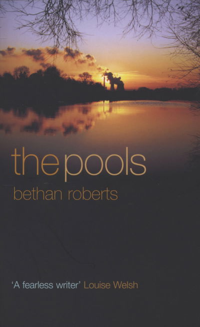 Cover for Bethan Roberts · Pools (Bok) (2008)