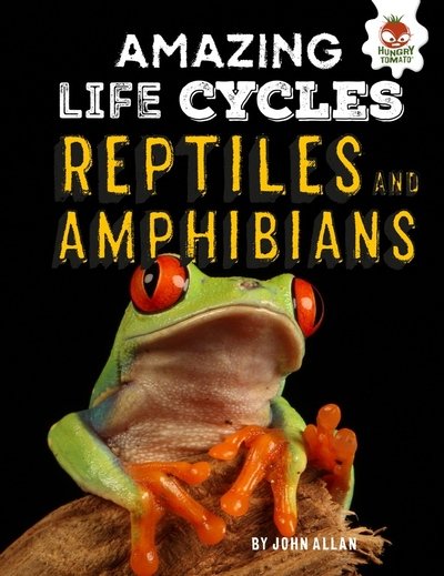 Cover for John Allan · Reptiles and Amphibians - Amazing Life Cycles (Hardcover Book) (2019)
