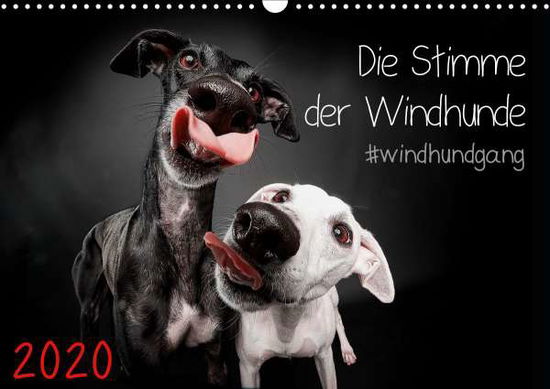 Cover for Gier · Die Stimme der Windhunde (Wandkale (Bog)