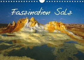 Cover for Lange · Faszination Salz (Wandkalender 20 (Book)