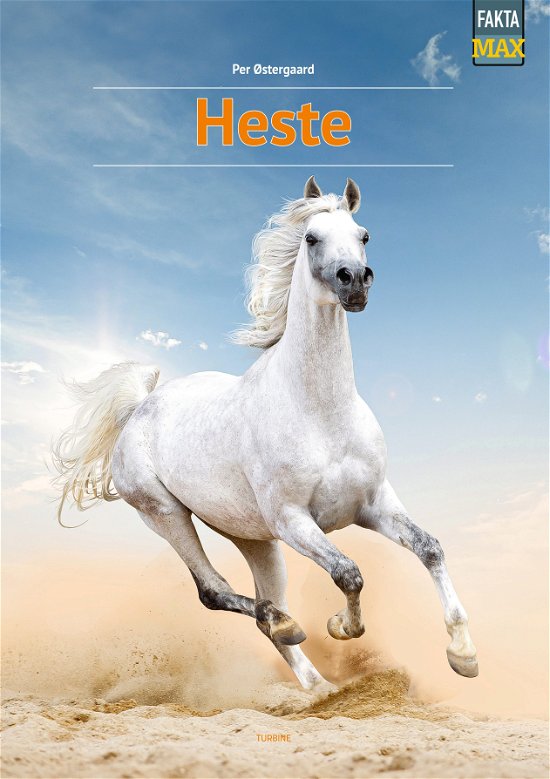Cover for Per Østergaard · Fakta Max: Heste (Hardcover Book) [1. Painos] (2024)