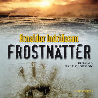 Erlendur Sveinsson: Frostnätter - Arnaldur Indridason - Audioboek - Norstedts - 9789113026992 - 21 augustus 2009