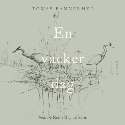 Cover for Tomas Bannerhed · En vacker dag (Audiobook (MP3)) (2021)