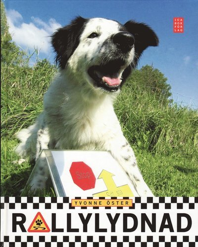 Cover for Yvonne Öster · Rallylydnad (Bound Book) (2009)