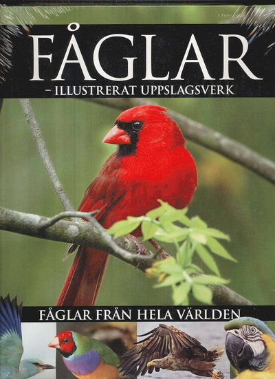 Cover for Fåglar - illustrerat uppslagsverk (Bound Book) (2008)