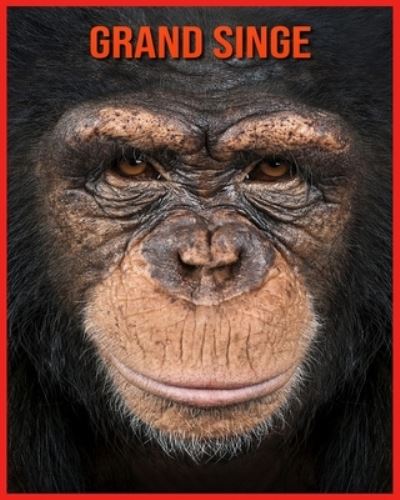 Cover for Alicia Moore · Grand Singe (Paperback Book) (2021)