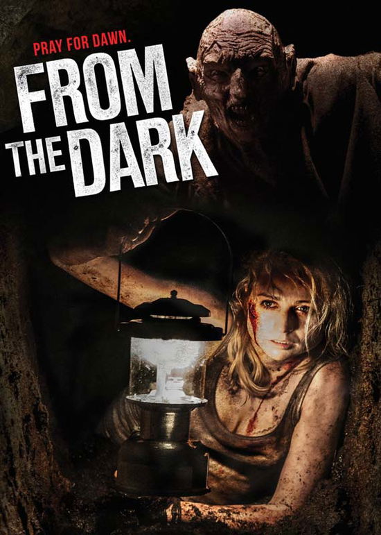 Cover for From the Dark (DVD) (2015)