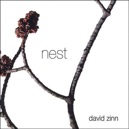 Cover for David Zinn · Nest (CD) (2005)