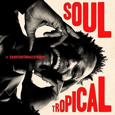 Cover for David Walters · Soul Tropical (LP) (2023)