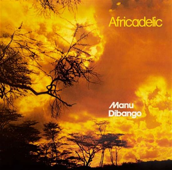 Cover for Manu Dibango · Africadelic (CD) (2022)