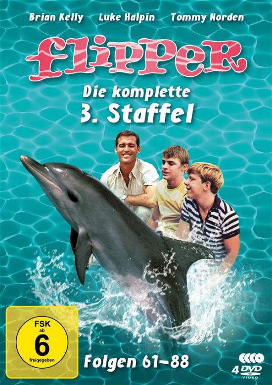 Cover for Kelly,brian / Norden,tommy · Flipper-die Komplette 3.staffel (4 Dvds) (Ferns (DVD) (2021)