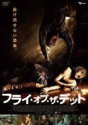 Cover for Courtney Hope · Prowl (MDVD) [Japan Import edition] (2011)