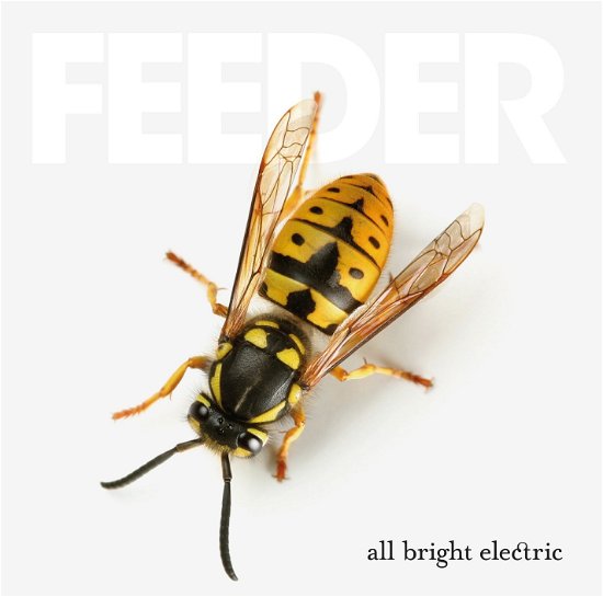 All Bright Electric - Feeder - Musik - VICTOR ENTERTAINMENT INC. - 4988002721993 - 21. september 2016