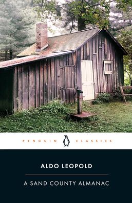 Cover for Aldo Leopold · A Sand County Almanac: And Sketches Here and There (Paperback Book) (2020)