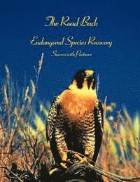 Cover for U S Fish &amp; Wildlife Service · The Road Back: Endangered Species Recovery Success with Partners (Pocketbok) (2015)