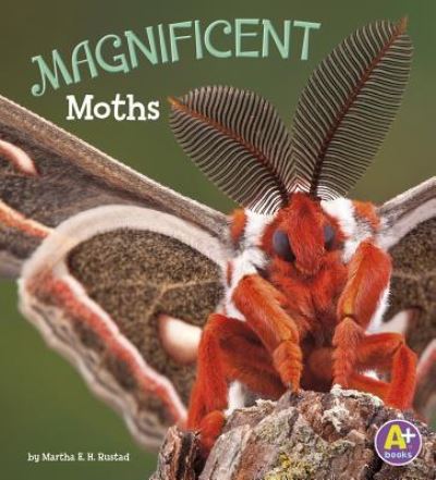 Cover for Martha E. H. Rustad · Magnificent Moths (Book) (2017)