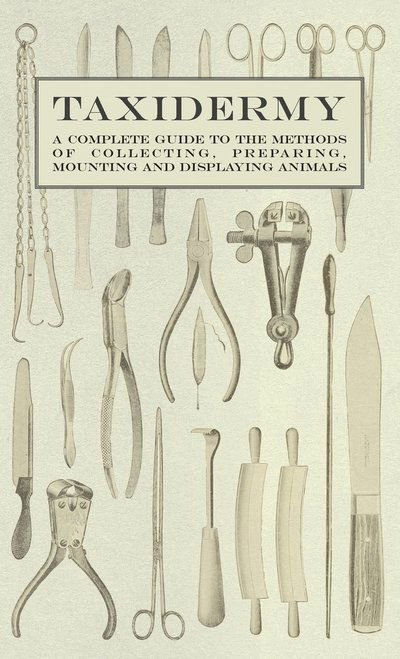 Cover for Taxidermy - A Complete Guide to the Methods of Collecting, Preparing, Mounting and Displaying Animals (Hardcover Book) (2010)