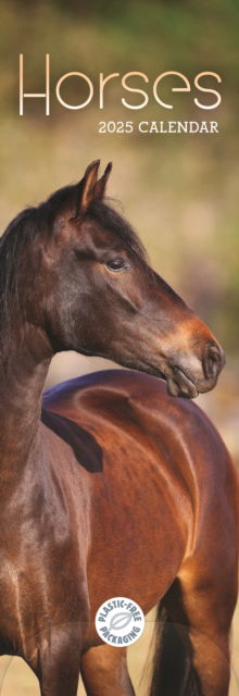 Cover for Carousel Calendars · Horses Slim Calendar 2025 (Paperback Book) (2024)