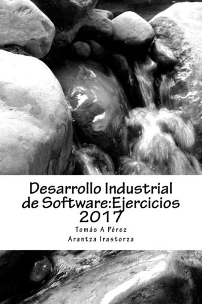 Cover for Arantza Irastorza Goñi · Desarrollo Industrial de Software (Paperback Bog) (2017)