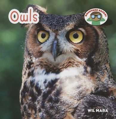 Cover for Wil Mara · Owls (Backyard Safari) (Paperback Book) (2014)