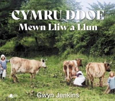 Cover for Gwyn Jenkins · Cymru Ddoe Mewn Lliw a Llun (Gebundenes Buch) (2022)