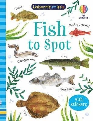 Cover for Kate Nolan · Fish to Spot - Usborne Minis (Paperback Book) (2022)