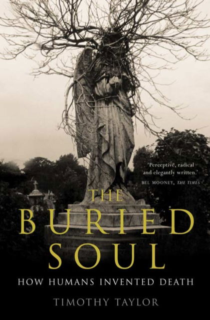 Cover for Timothy Taylor · Buried Soul (Paperback Book) [New edition] (2003)